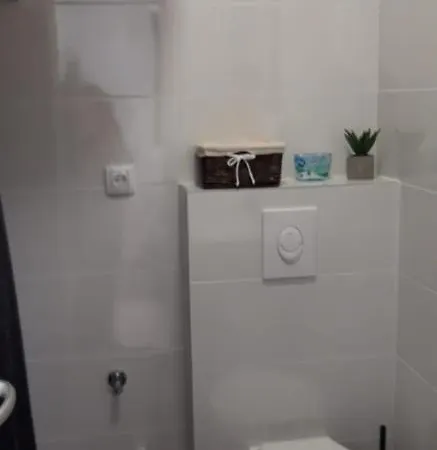 アパート Flanaticus プーラ